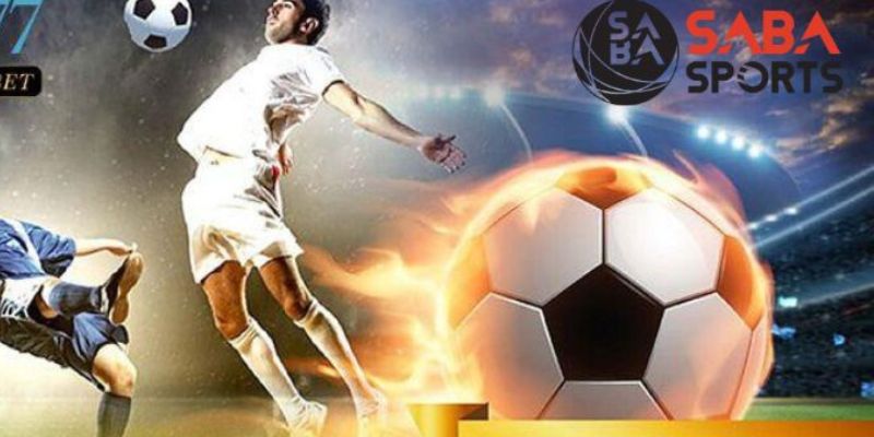 Sự hợp tác đặc biệt giữa Saba Sports và Kubet77